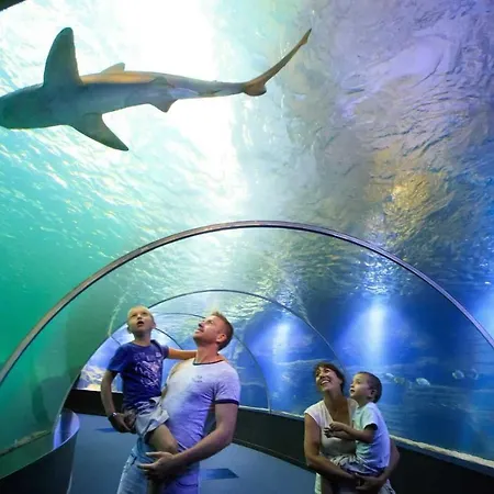 Vue Degagee #3 * Boulogne-sur-Mer